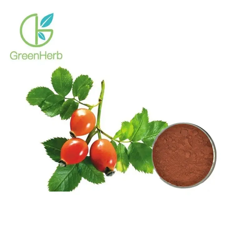 Rosehip Fruit Extract.webp